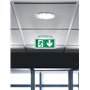 Baes d'évacuation saillie à LEDs - Sati connecté visibilité augmentée pour ERP et ERT - 45lm - 1h - IP43 IK07 LEGRAND