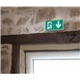 Baes d'évacuation saillie à LEDs - Sati connecté visibilité augmentée pour ERP et ERT - 45lm - 1h - IP43 IK07 LEGRAND