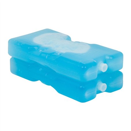 Curver Lot de 2 Blocs réfrigérants