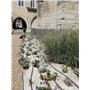 La Cordeline 60 Agrafes Paillage Acier Brut Ø 5mm 20x20cm Spécial Sols Durs