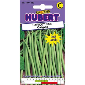 50 Graines de Haricot nain Calypso - Format Petit Jardin