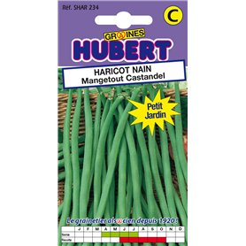 50 Graines de Haricot nain Mangetout Castandel - Format Petit Jardin