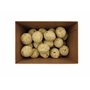 Aimé - Eco Box Boules de Graisse - Nourriture pour Oiseaux - Boule de Graisse Oiseaux Extérieurs - Boules Oiseaux pour Toutes Le