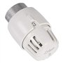 Rbm - Tête thermostatique TL10 - RBM : 5900000