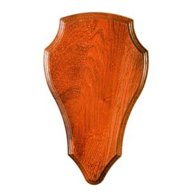 Januel - Ecusson pour Trophée de Chasse - Ecusson pour Massacre de Chevreuil- Trophée Crane de Chevreuil - Bois de Chêne - Finit