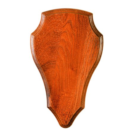 Januel - Ecusson pour Trophée de Chasse - Ecusson pour Massacre de Chevreuil- Trophée Crane de Chevreuil - Bois de Chêne - Finit