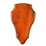 Januel - Ecusson pour Trophée de Chasse - Ecusson pour Massacre de Chevreuil- Trophée Crane de Chevreuil - Bois de Chêne - Finit