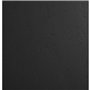 Paquet de 100 plats FOREVER, carte 270 g/m², grain cuir, coloris noir