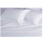 Rayyan Linens - Paire de taies d'oreiller Oxford 100 % coton égyptien 200 fils - blanc - 50 x 75 cm