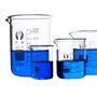 TuToy 5Pcs 5Ml 10Ml 25Ml 50Ml 100Ml Bécher Set Haute Qualité Bécher En Verre Résistant Aux Haute Température Échelle En Verre Bo