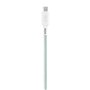 Câble USB-C vers USB-C T'NB TCPDMAGGR 1,5 m Vert