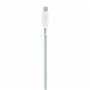 Câble USB-C vers USB-C T'NB TCPDMAGGR 1,5 m Vert