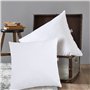 DODO | Lot de 2 Oreillers Ultra Doux 60x60 | Confort Moelleux | 2 Oreillers Arizona | Circulation de l'air et Gonflant | Fabriqu