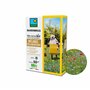 BARENBRUG - Mélange Pollinisateurs BIO - Nectar et Pollen en Abondance - Attire Papillons et Insectes Pollinisateurs - Floraison