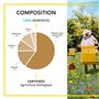 BARENBRUG - Mélange Pollinisateurs BIO - Nectar et Pollen en Abondance - Attire Papillons et Insectes Pollinisateurs - Floraison