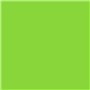 Papier photocopieuse Trophee A4 80g/m² 500 feuilles menthe/vert mai