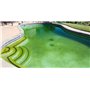 EDG - Super Anti Algues Piscine - Action Curative Anti Eau Verte et Eau Trouble - Effet Algicide - Bidon 5 litres - EDG by AQUAL