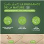 STARWAX 421 Détachant Terre de Sommières 200g, Voir Photo