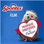 SPONTEX - Carréponge - 4 éponges Plates résistantes et Flexibles - Protection Anti-bactéries