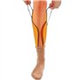 Collants - Aide à la Mobilité - Plus besoin de se Baisser