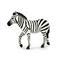 Papo- Zèbre mâle LA Vie Sauvage Figurine