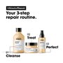 Masque Absolut Repair 250 ml
