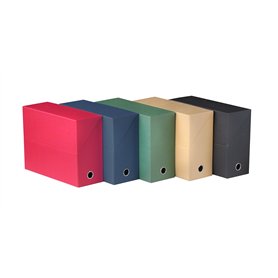 FAST 100725578 Lot de 5 Boîtes de transfert dos 12 cm Couleurs Assortis