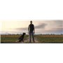 Farming Simulator 19 - Premium Edition (Xbox One)