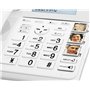 Geemarc Amplidect 295 Combi Duo - Téléphone Fixe Amplifié et ses Combinés Additionnels avec Répondeur, Sonnerie Puissante et Lar