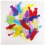 P'TIT CLOWN - 14515 - Lot de 50 Plumes Colorées 3g - Couleurs Aléatoires - Accessoire de Décoration pour Carnaval