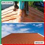 Parexlanko - Nettoyant liquide - 251 Lanko Net Vert - Nettoyant algicide et fongicide - Pour toiture, façade et terrasse - Trans