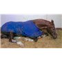 Poudre Armoricaine pour Chevaux Cataplasme Detox Anti Douleurs Argile & Algues Marines - A préparer, seaux de 1500 g poudre- pro