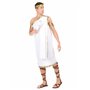 DEGUISE TOI - Déguisement grec homme - Standard