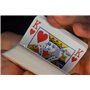 Jeu Bicycle 4 Indices - DOS Rouge - Convient aux droitiers et aux gauchers