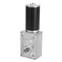 Moteur d'engrenage à vis sans Fin d'axe de 12V 8mm, Moteur électrique de réduction de Vitesse de Turbo de boîte de Vitesse en mé