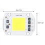 Fdit 100W 220V Blanc Froid Haute Puissance LED Puce Haute Tension COB Source Lumineuse Accessoires d'éclairage pour Une Utilisat
