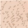 Exacompta - 13640E - Carnet d'adresses Méline - 9 cm x 16 cm - Coloris aléatoires