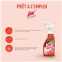 JEX Professionnel - Nettoie, dégraisse, désinfecte et parfume - Détruit les odeurs - Prêt a l'emploi - Contact alimentaire - Par