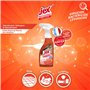 JEX Professionnel - Nettoie, dégraisse, désinfecte et parfume - Détruit les odeurs - Prêt a l'emploi - Contact alimentaire - Par