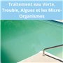 Algues et Les Micro-