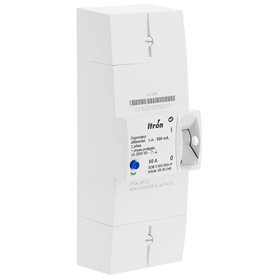 Itron - Disjoncteur EDF 60A 230V Instantané