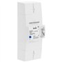 Itron - Disjoncteur EDF 60A 230V Instantané