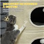 Pawhut Tour pour Chat Modulable - Tonneau Griffoir 3 Niveaux avec Fermeture Éclair Séparable, Tapis de Grattage en Sisal, Deux B