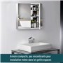 HOMCOM Armoire Miroir Cadre en Acier Inoxydable avec Rangement Étagère pour Toilette Salle de Bain dim. 60L x 12l x 55H cm