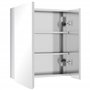 kleankin Armoire Miroir de Salle de Bain en Acier Inoxydable Armoire Murale 2 Portes et 3 Compartiments intérieurs - 54 x 13 x 6