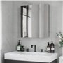 kleankin Armoire Miroir de Salle de Bain en Acier Inoxydable Armoire Murale 2 Portes et 3 Compartiments intérieurs - 54 x 13 x 6