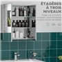 kleankin Armoire Miroir de Salle de Bain en Acier Inoxydable Armoire Murale 2 Portes et 3 Compartiments intérieurs - 54 x 13 x 6