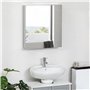 kleankin Armoire Miroir de Salle de Bain en Acier Inoxydable Armoire Murale 2 Portes et 3 Compartiments intérieurs - 54 x 13 x 6