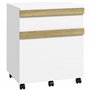 Vinsetto Caisson de Bureau à roulettes Meuble de Rangement Mobile avec 2 tiroirs coulissants trieur à dossiers 48 x 40 x 59