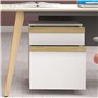 Vinsetto Caisson de Bureau à roulettes Meuble de Rangement Mobile avec 2 tiroirs coulissants trieur à dossiers 48 x 40 x 59,5 cm